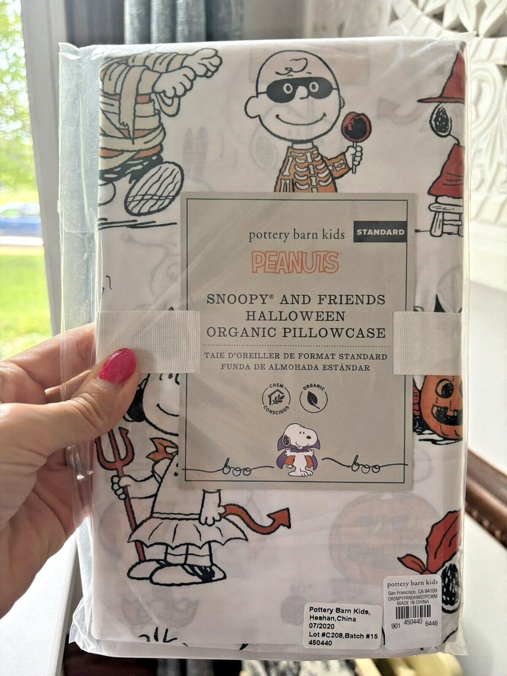 Pottery barn Holiday Snoopy peanuts Pillowcase Halloween school kid gift SET 2y
