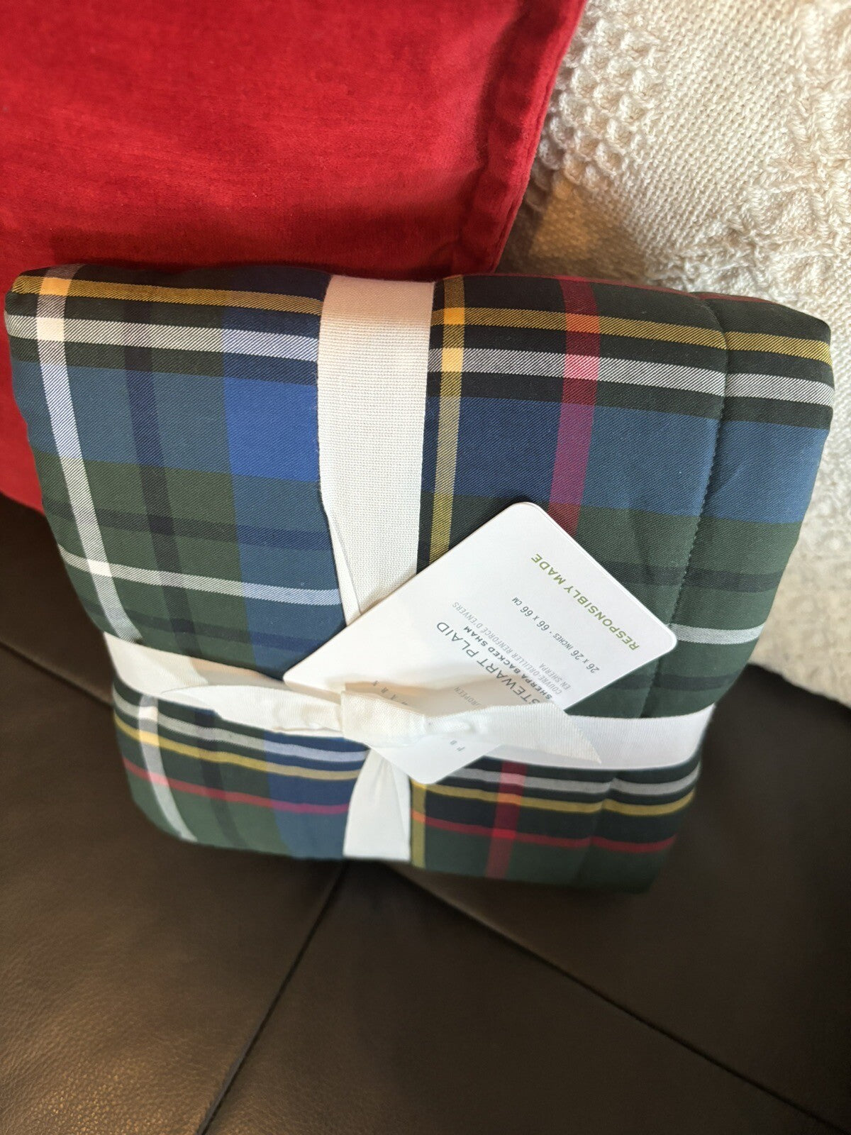 Pottery Barn Plaid Disney Pillow sham Stewart holiday Christmas party kid [