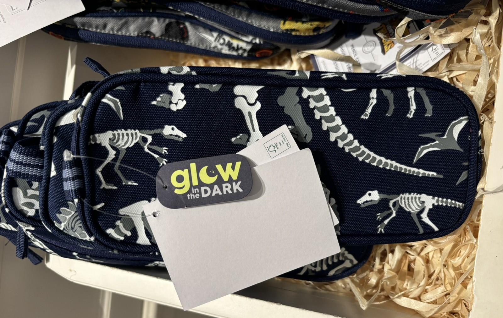 School Pottery barn Pencil case bag boy Dinosaur travel Jurassic pre k kids .