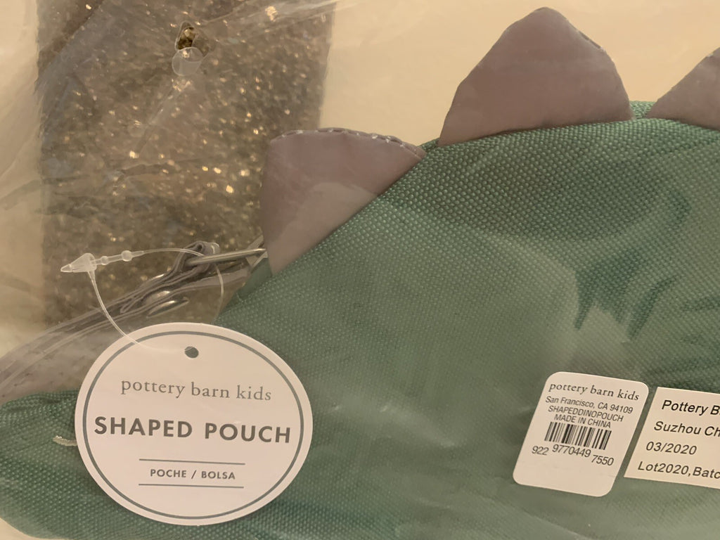 Disney School Pottery barn Dinosaur pencil case bag travel gift boy park pre k ,