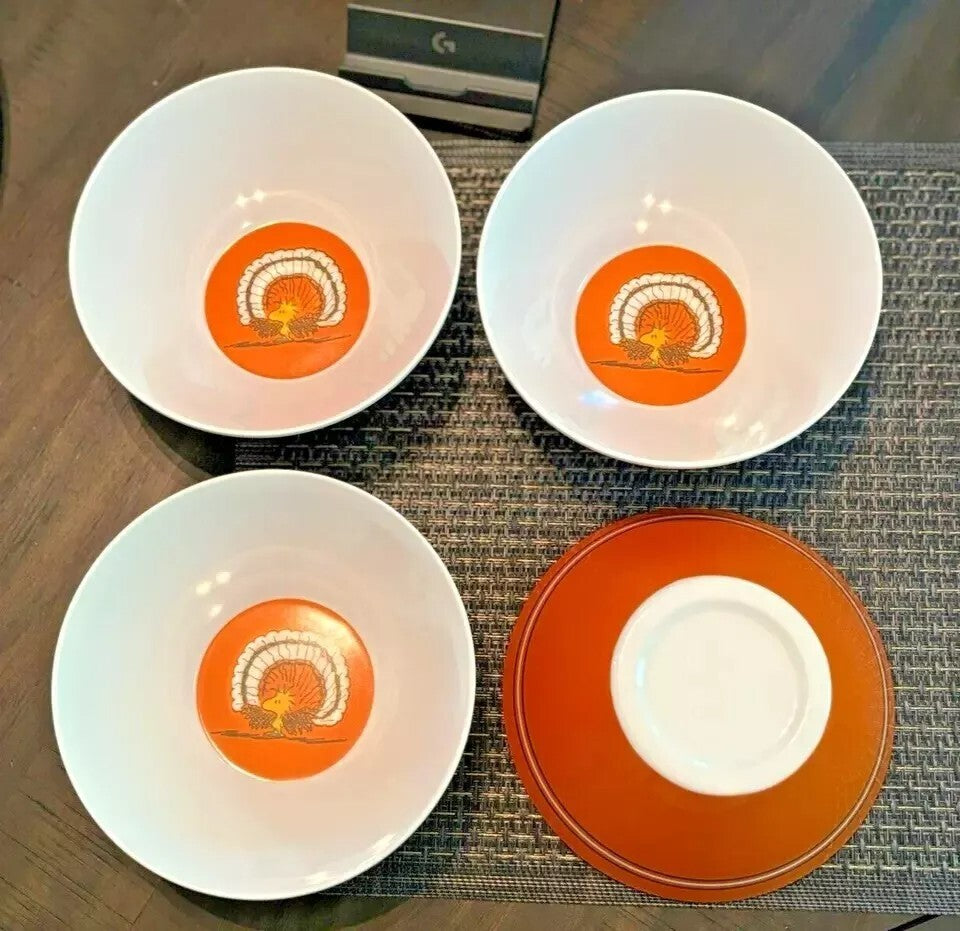 Pottery Barn peanuts holiday party Thanksgiving Disney Snoopy kid Bowl SET 4 [
