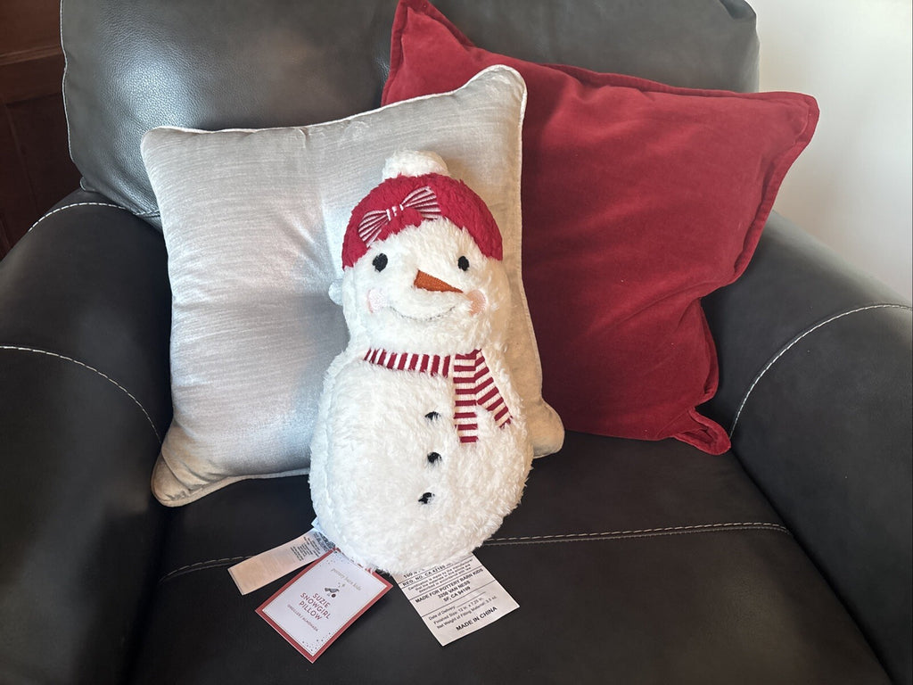Disney Pottery Barn Snowman Christmas pillow Seuss Holiday Gift party girl m