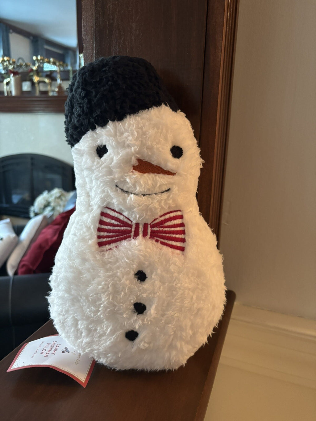 Disney Pottery Barn Snowman Christmas pillow Seuss Holiday Gift party girl m