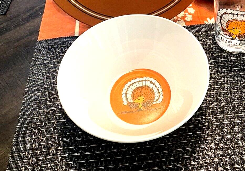 Pottery Barn peanuts holiday party Thanksgiving Disney Snoopy kid Bowl SET 4 [
