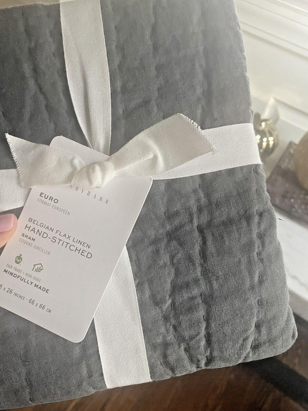 Pottery Barn Belgian flax Linen PILLOW SHAM Disney Chambray holiday gift party -