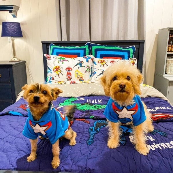 Pottery barn kids Marvel Avengers Disney Superman comics Batman superhero boy -