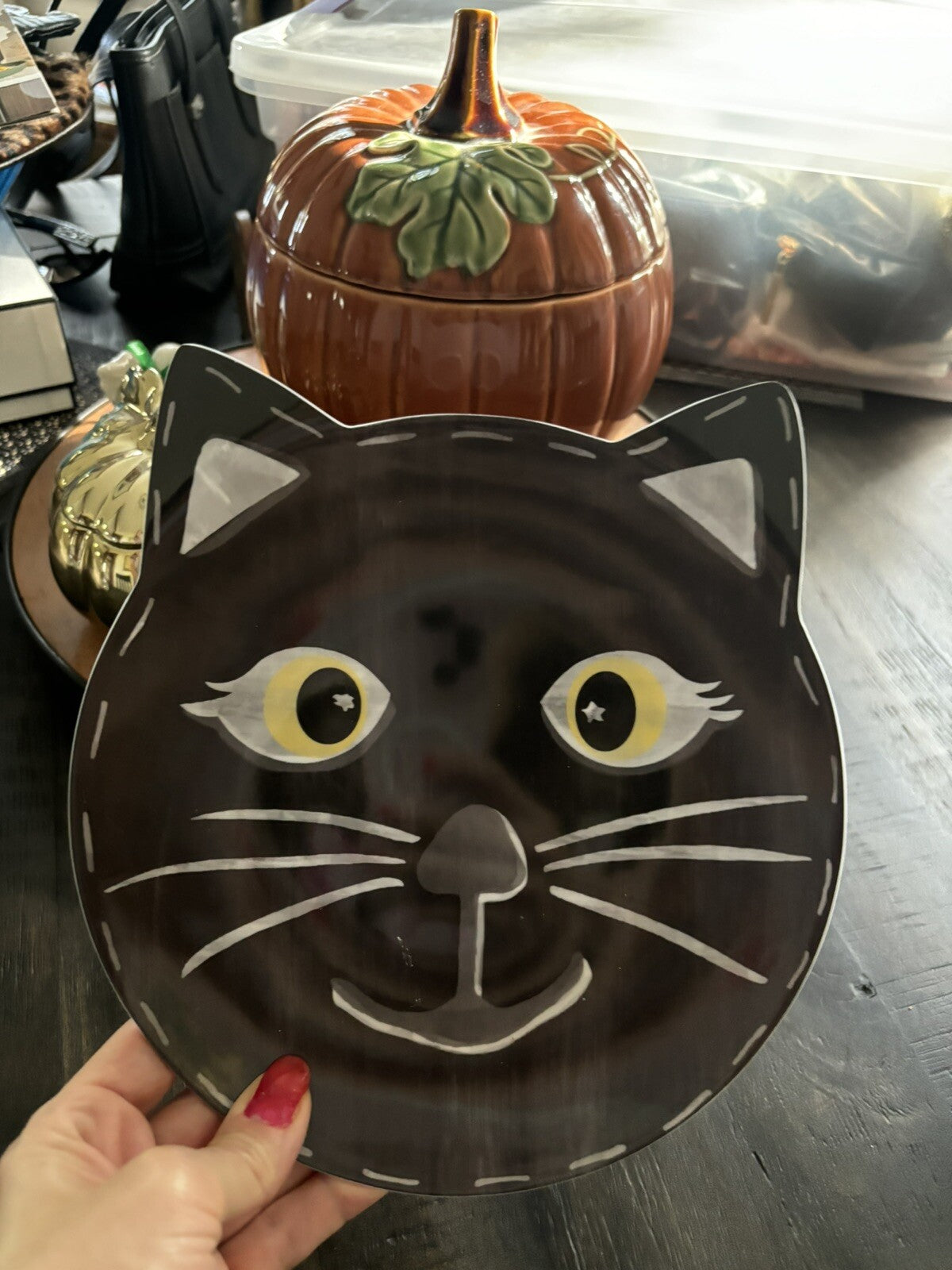 Pottery Barn Halloween Plate Utensil SET Holiday party school black cat Disney 1