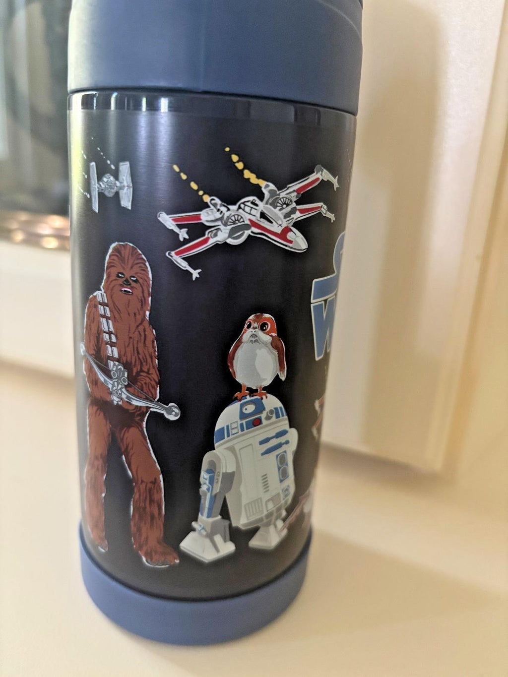 Pottery Barn School Lunch Disney Snoopy Mickey Star Wars WATER travel Marvel .