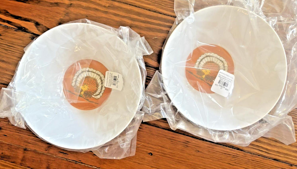 Snoopy Pottery Barn Thanksgiving peanuts Holiday Bowl party Disney kids SET 2