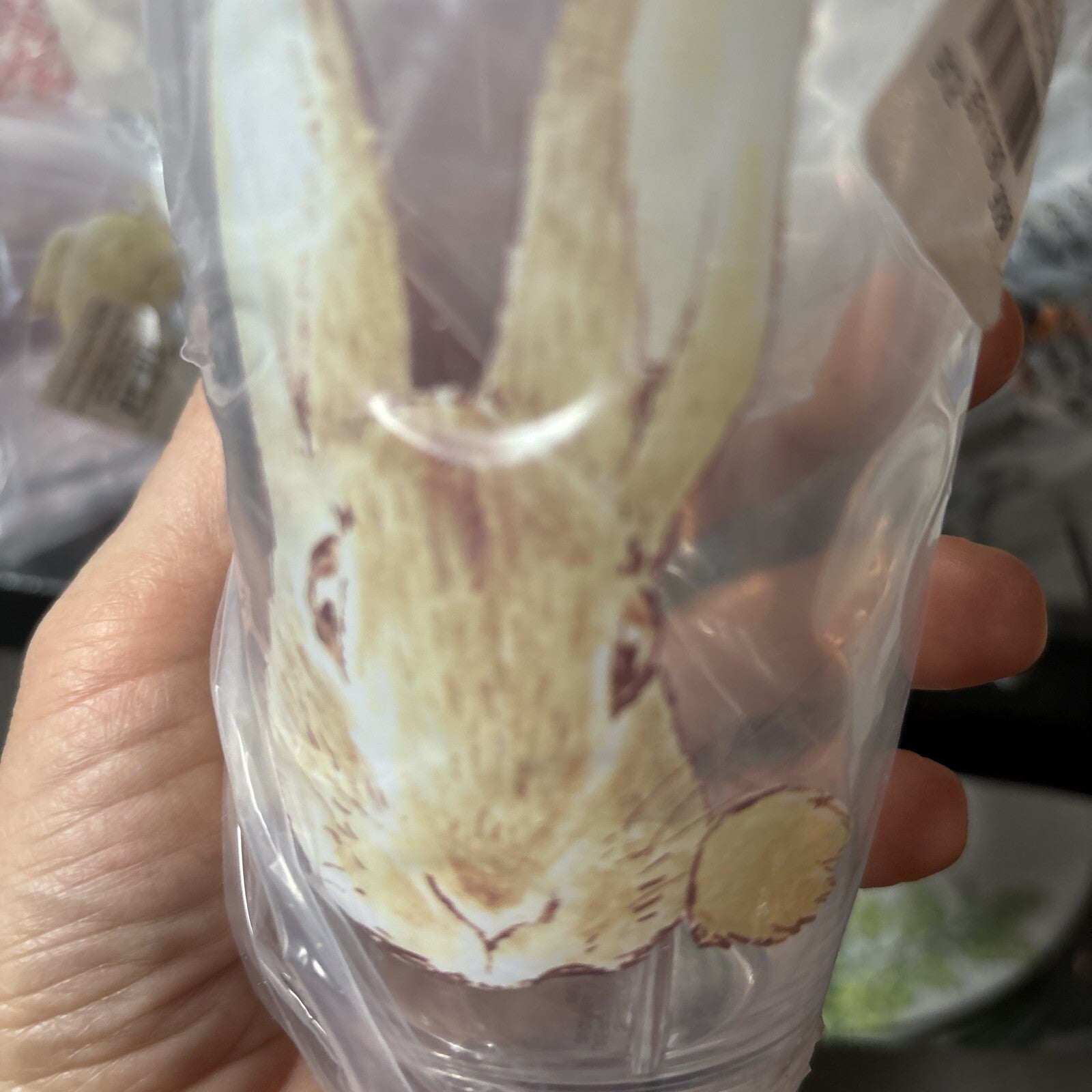 Disney Pottery barn Peter Rabbit bunny cup Easter holiday gift party garden m