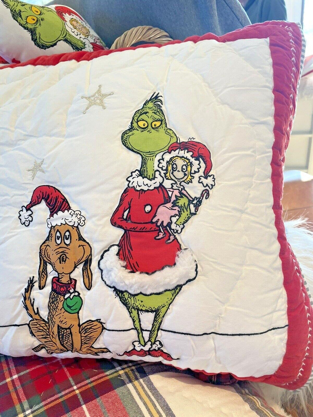 Pottery Barn Grinch Christmas pillow Sham Dr Seuss Disney Holiday party kid NEW