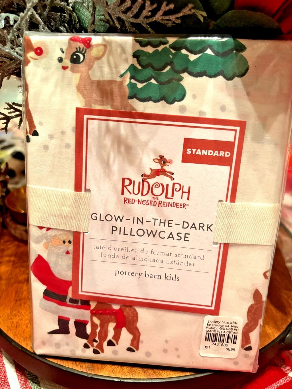 pottery barn Holiday Christmas RUDOLPH FROSTY BUMBLE SNOWMAN Disney pillowcase
