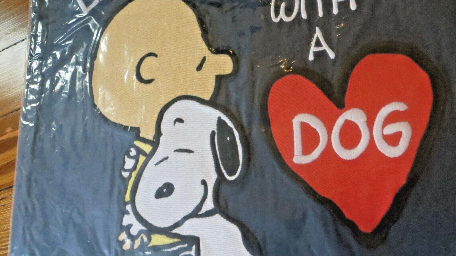 Snoopy Disney Pottery Barn Pilllow Sham Holiday Kid Birthday Gift party kid ?? =