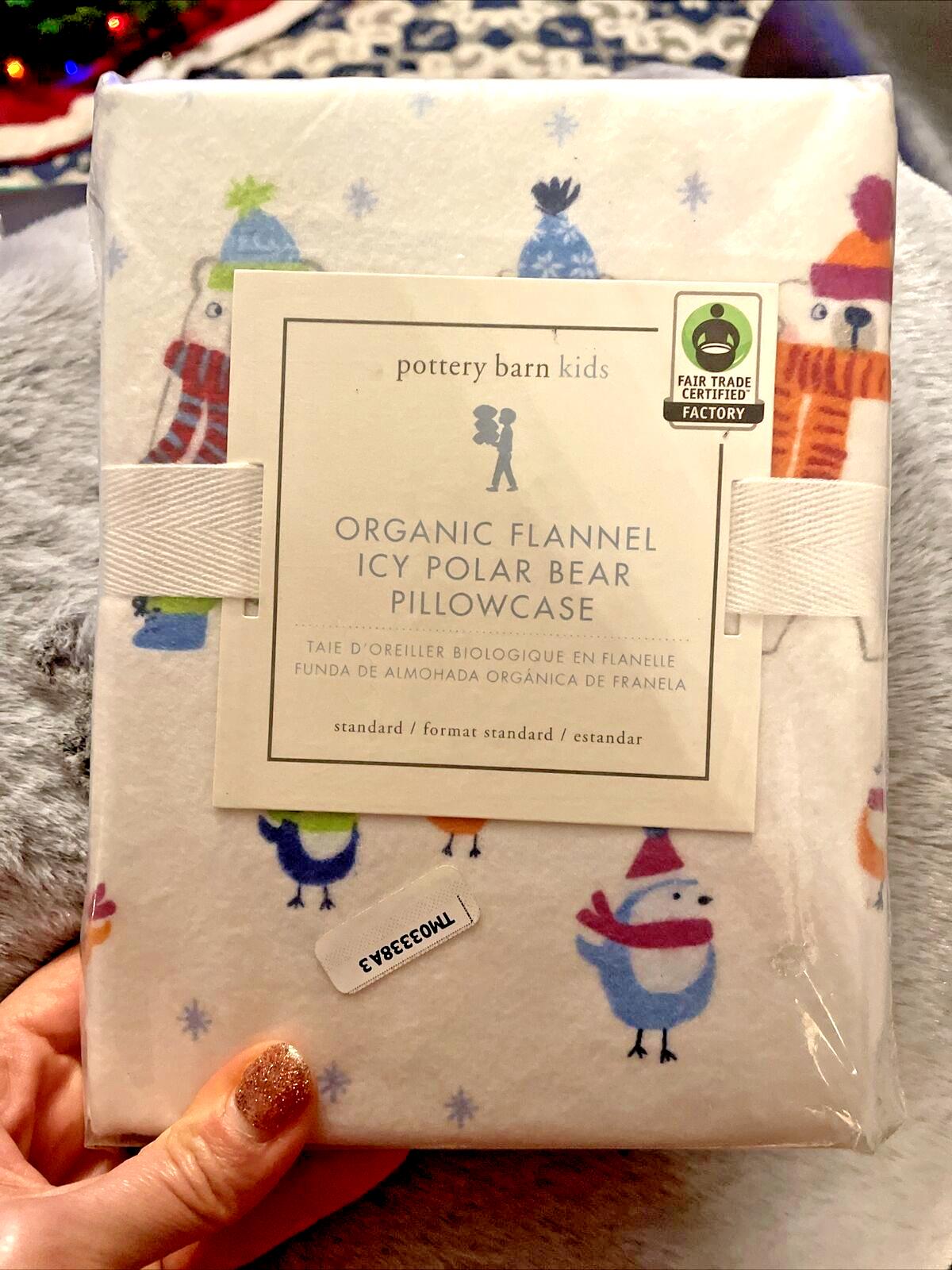 Pottery Barn pillowcase Christmas Bear holiday Disney school kid winter Polar =