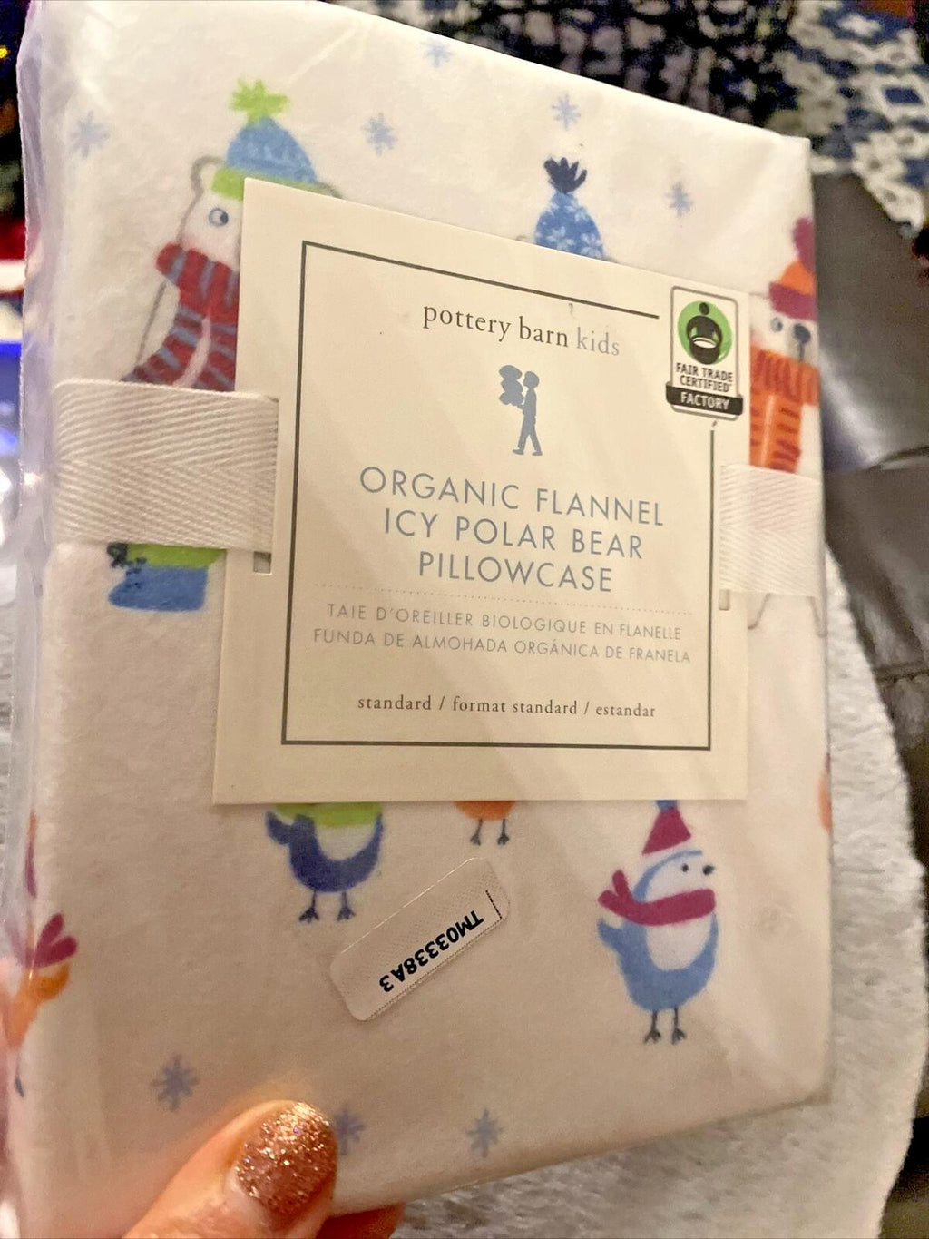 Pottery Barn pillowcase Christmas Bear holiday Disney school kid winter Polar =