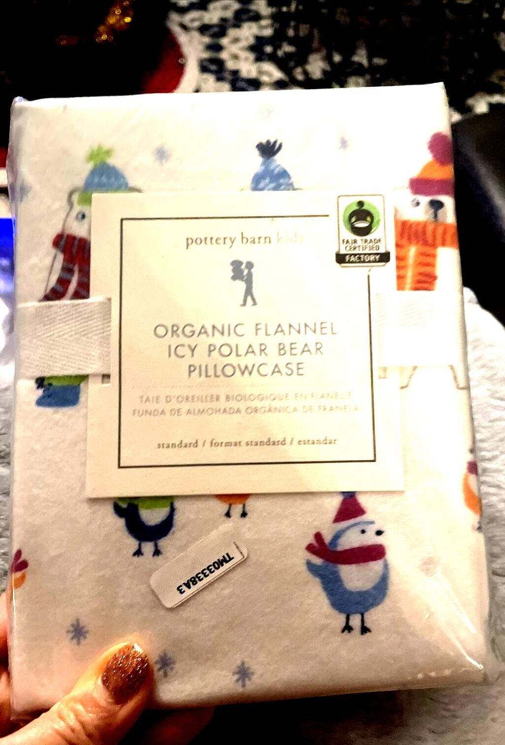 Pottery Barn pillowcase Christmas Bear holiday Disney school kid winter Polar =