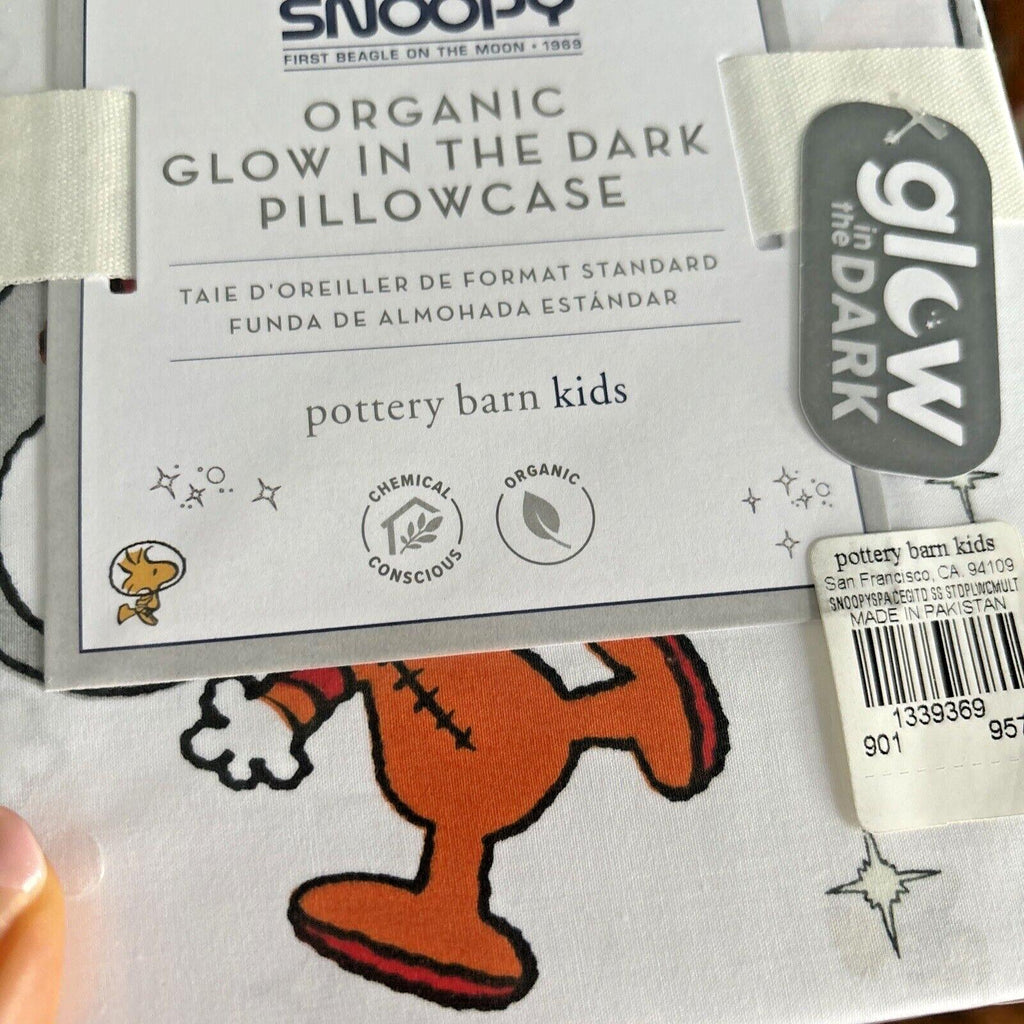 Snoopy Disney Pottery Barn PILLOWCASE Peanuts DOG space school holiday kids =
