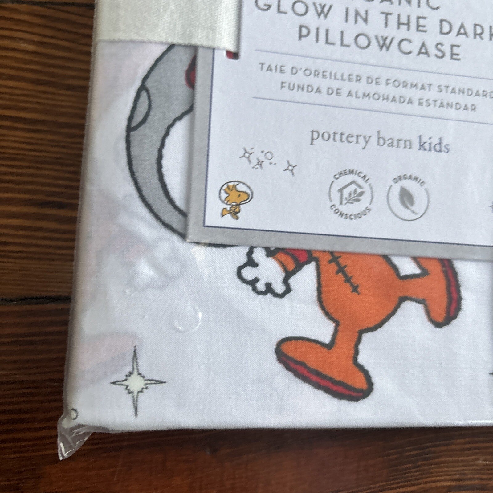 Snoopy Disney Pottery Barn PILLOWCASE Peanuts DOG space school holiday kids =