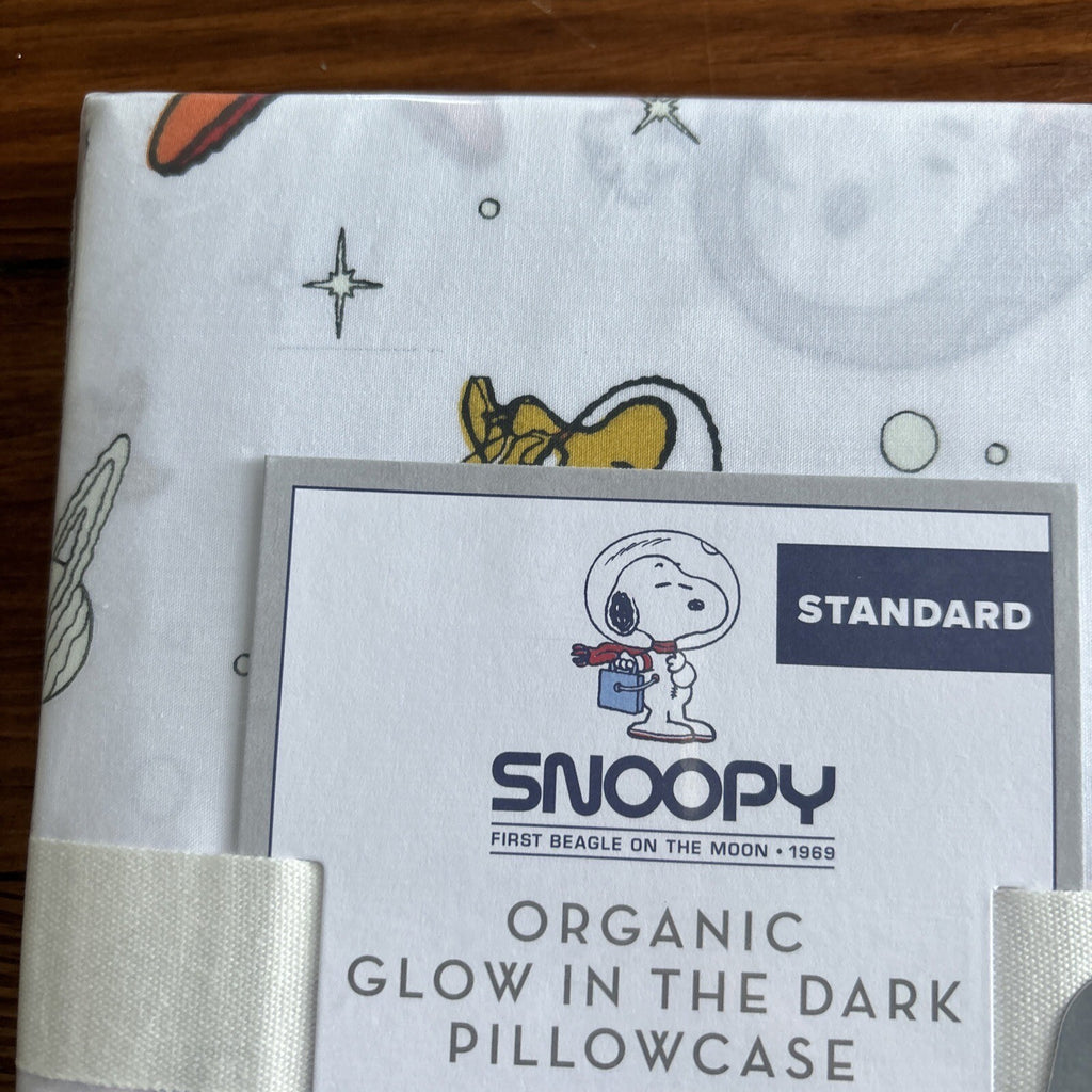 Snoopy Disney Pottery Barn PILLOWCASE Peanuts DOG space school holiday kids =