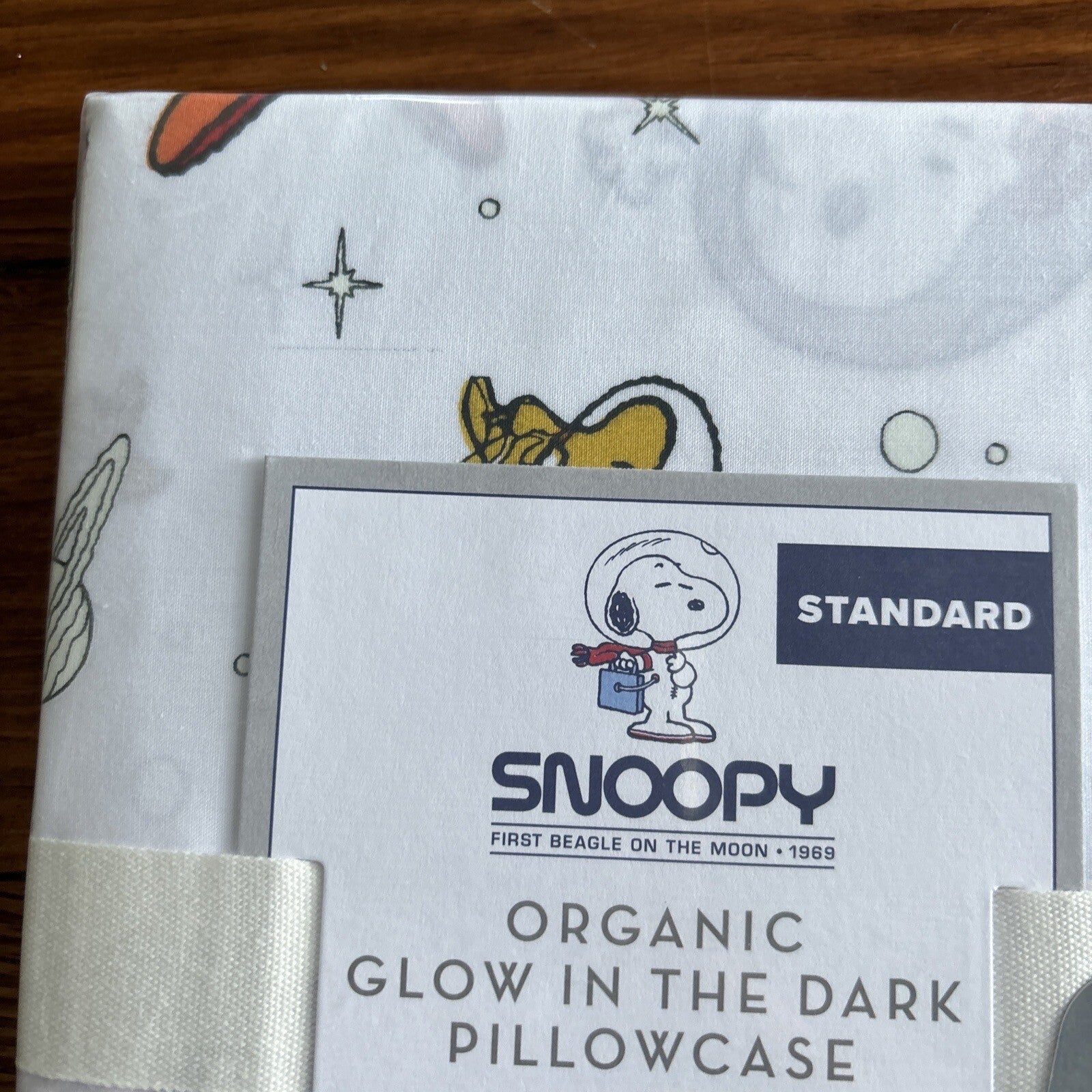 Snoopy Disney Pottery Barn PILLOWCASE Peanuts DOG space school holiday kids =