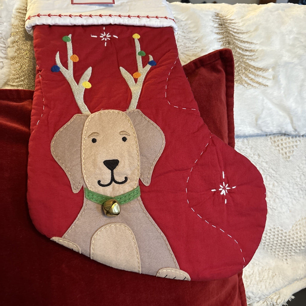 Pottery Barn Holiday Christmas stocking dog gift party reindeer pet Disney kid '