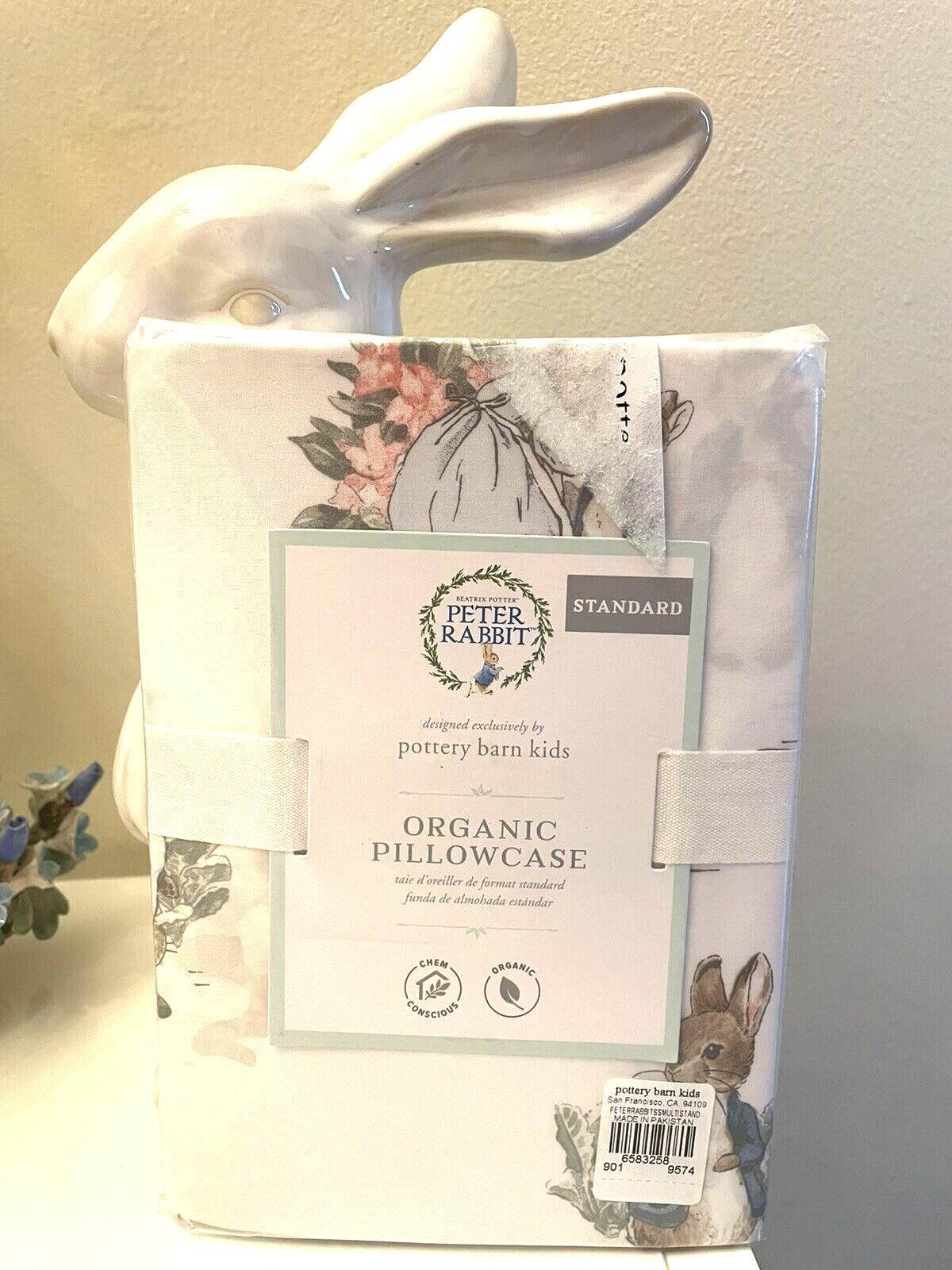 Pottery Barn holiday Peter Rabbit Disney  pillowcase gift bunny school kid ]