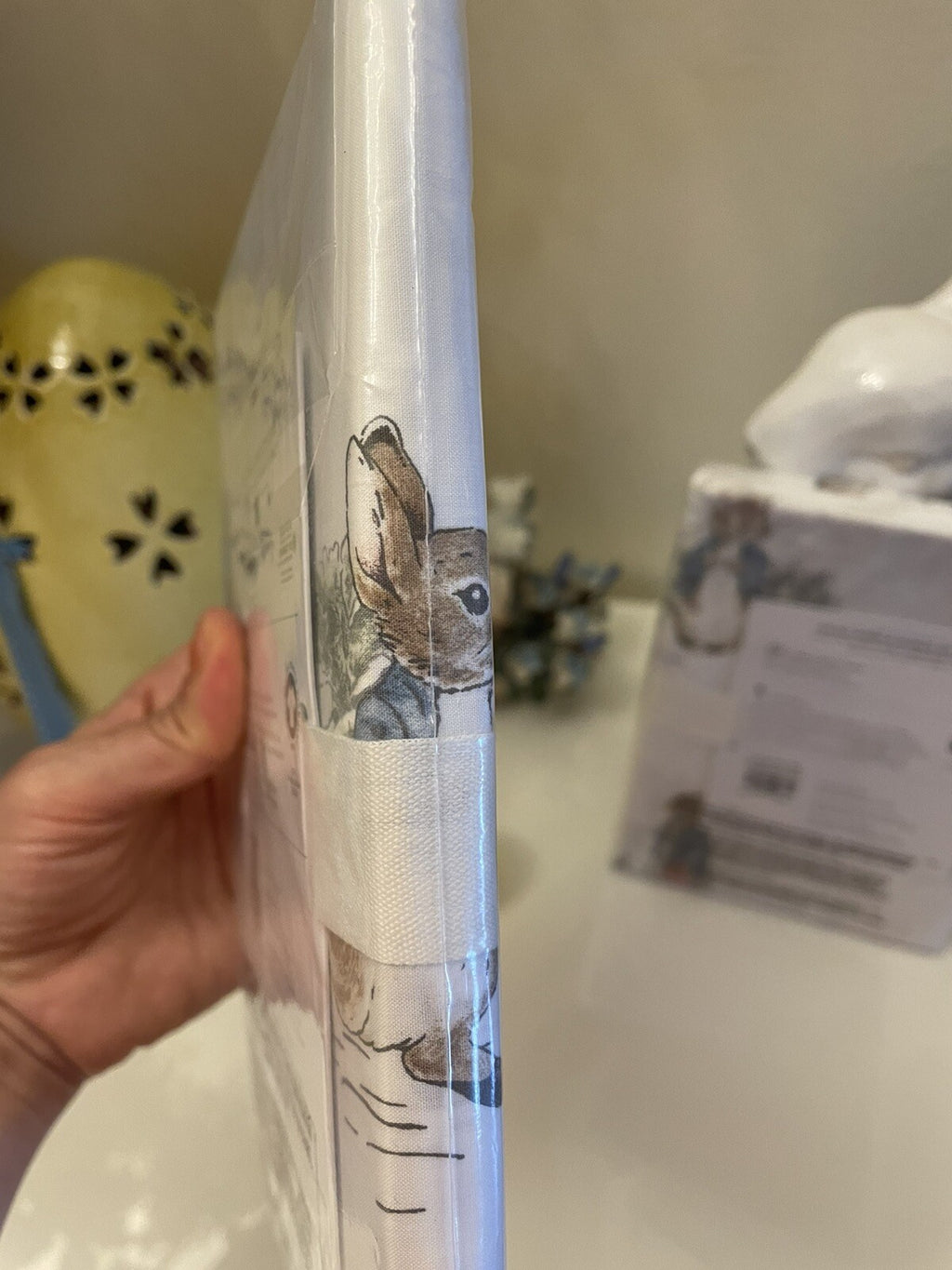 Pottery Barn holiday Peter Rabbit Disney  pillowcase gift bunny school kid ]