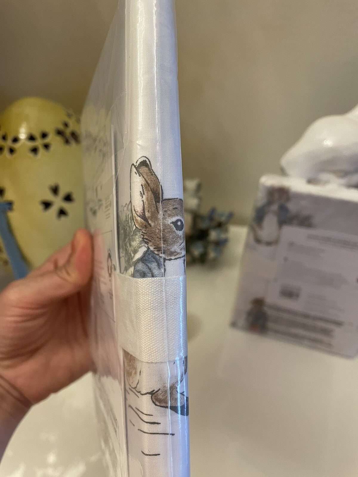 Pottery Barn holiday Peter Rabbit Disney  pillowcase gift bunny school kid ]