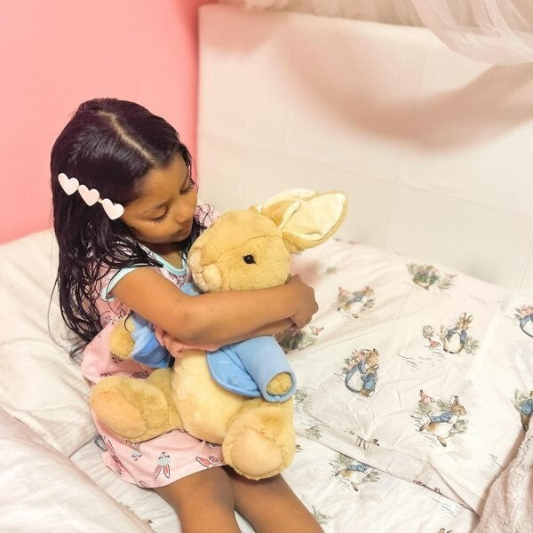 Pottery Barn holiday Peter Rabbit Disney  pillowcase gift bunny school kid ]