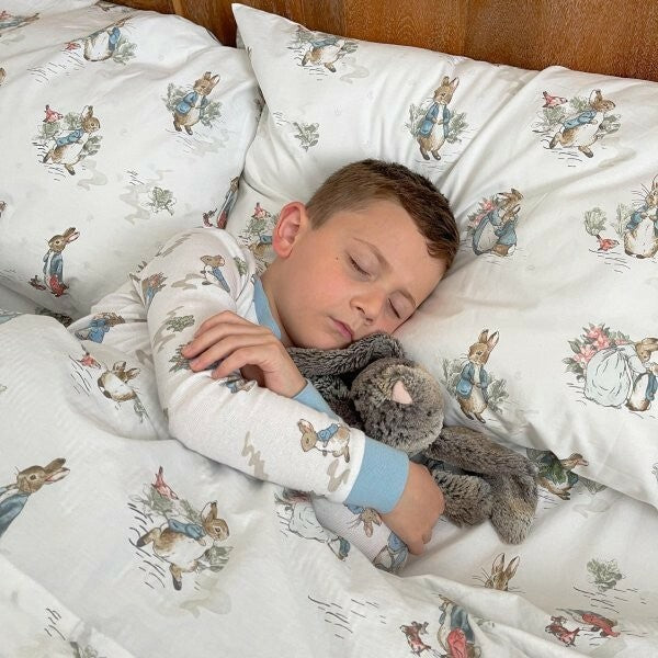 Pottery Barn holiday Peter Rabbit Disney  pillowcase gift bunny school kid ]