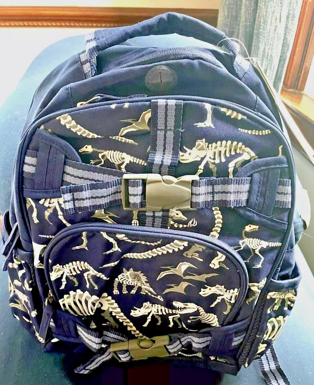 Pottery Barn kids School Disney Snoopy Nemo BACKPACK LUNCH BOX travel Bag n