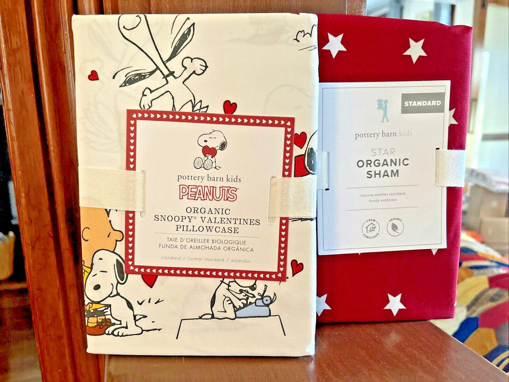 Snoopy Pottery Barn Holiday peanuts Star Sham Disney SET 2 Birthday Pillowcase y