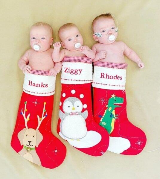 Pottery Barn Holiday Christmas stocking gift Dinosaur Disney school Jurassic kid
