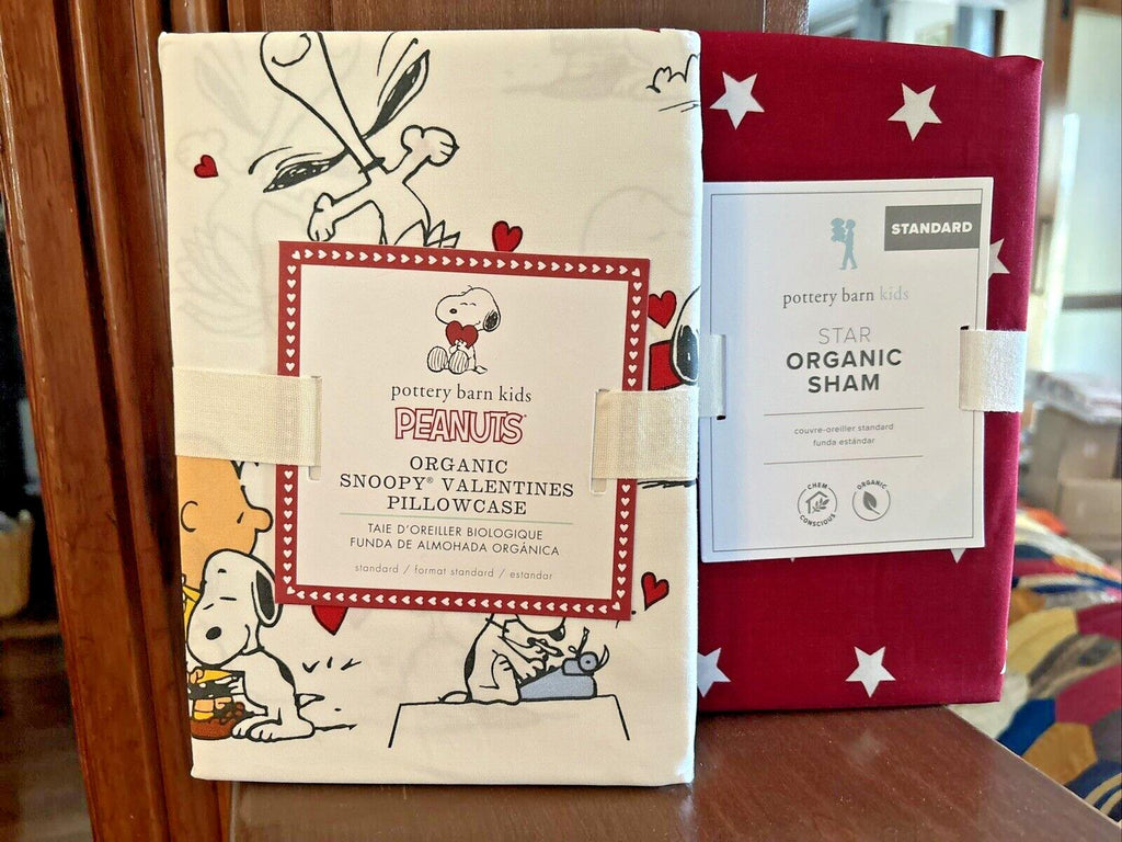 Snoopy Pottery Barn Holiday peanuts Star Sham Disney SET 2 Birthday Pillowcase y
