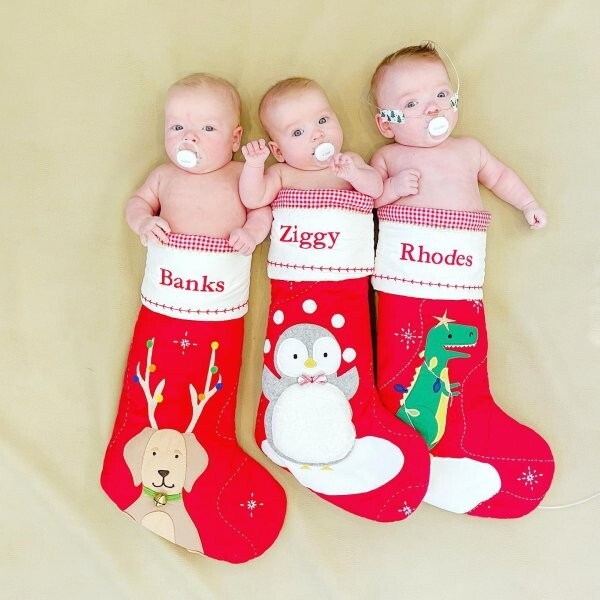 Pottery Barn Holiday Christmas stocking gift Dinosaur Disney school Jurassic kid