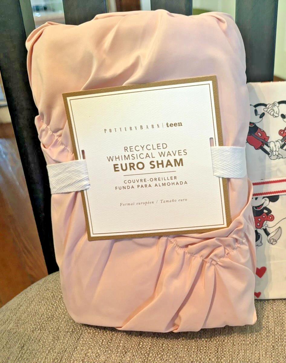 pottery barn Holiday Birthday Christmas Disney pillow sham Euro pink kid party