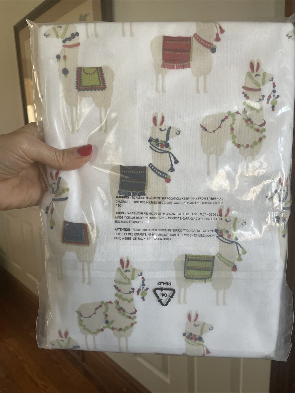 Garnet hill Disney holiday School Gift Llama party kid PILLOWCASE SET 2  a