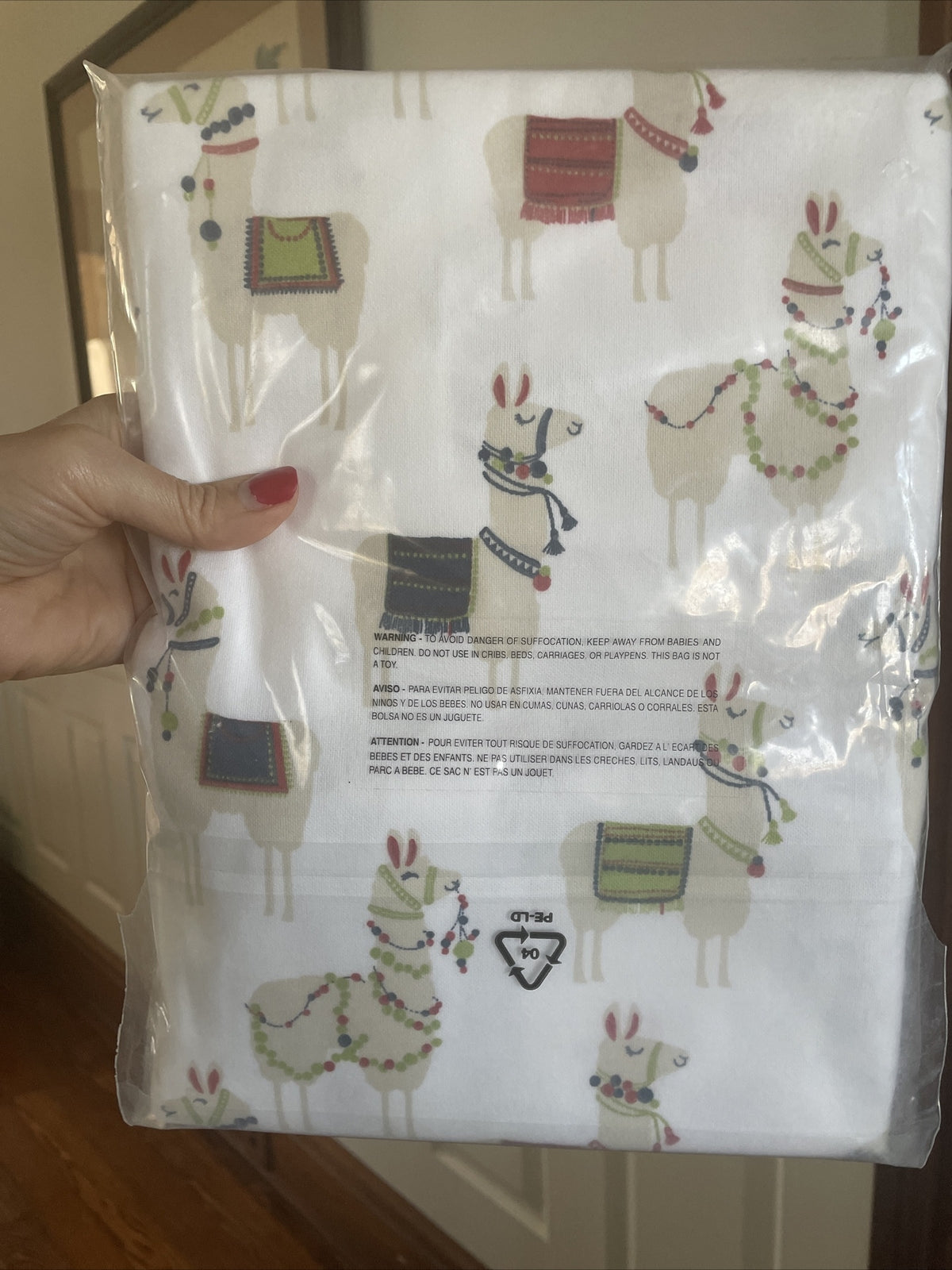 Garnet hill Disney holiday School Gift Llama party kid PILLOWCASE SET 2  a