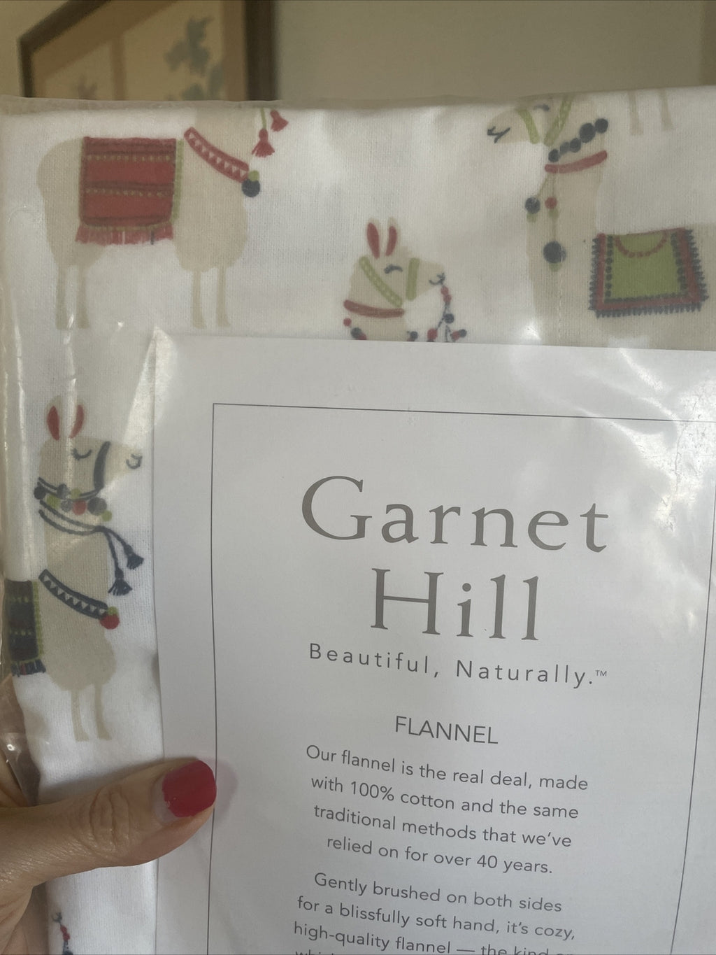 Garnet hill Disney holiday School Gift Llama party kid PILLOWCASE SET 2  a