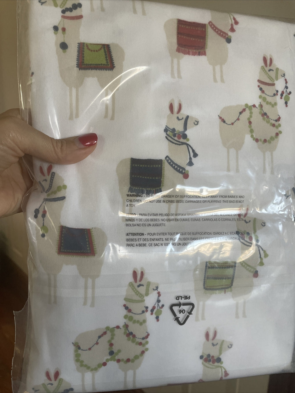Garnet hill Disney holiday School Gift Llama party kid PILLOWCASE SET 2  a