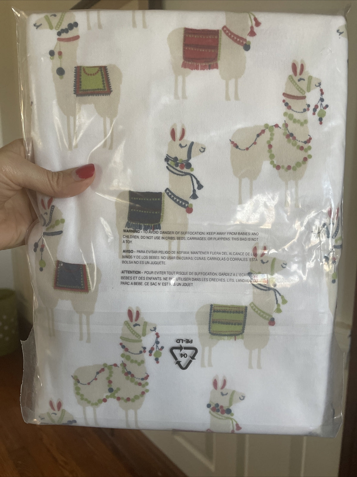 Garnet hill Disney holiday School Gift Llama party kid PILLOWCASE SET 2  a