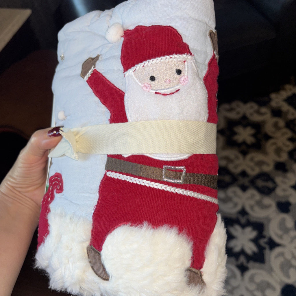 Pottery Barn Christmas Holiday Pillow SHAM Rudolph Jolly Santa fur Party kid `