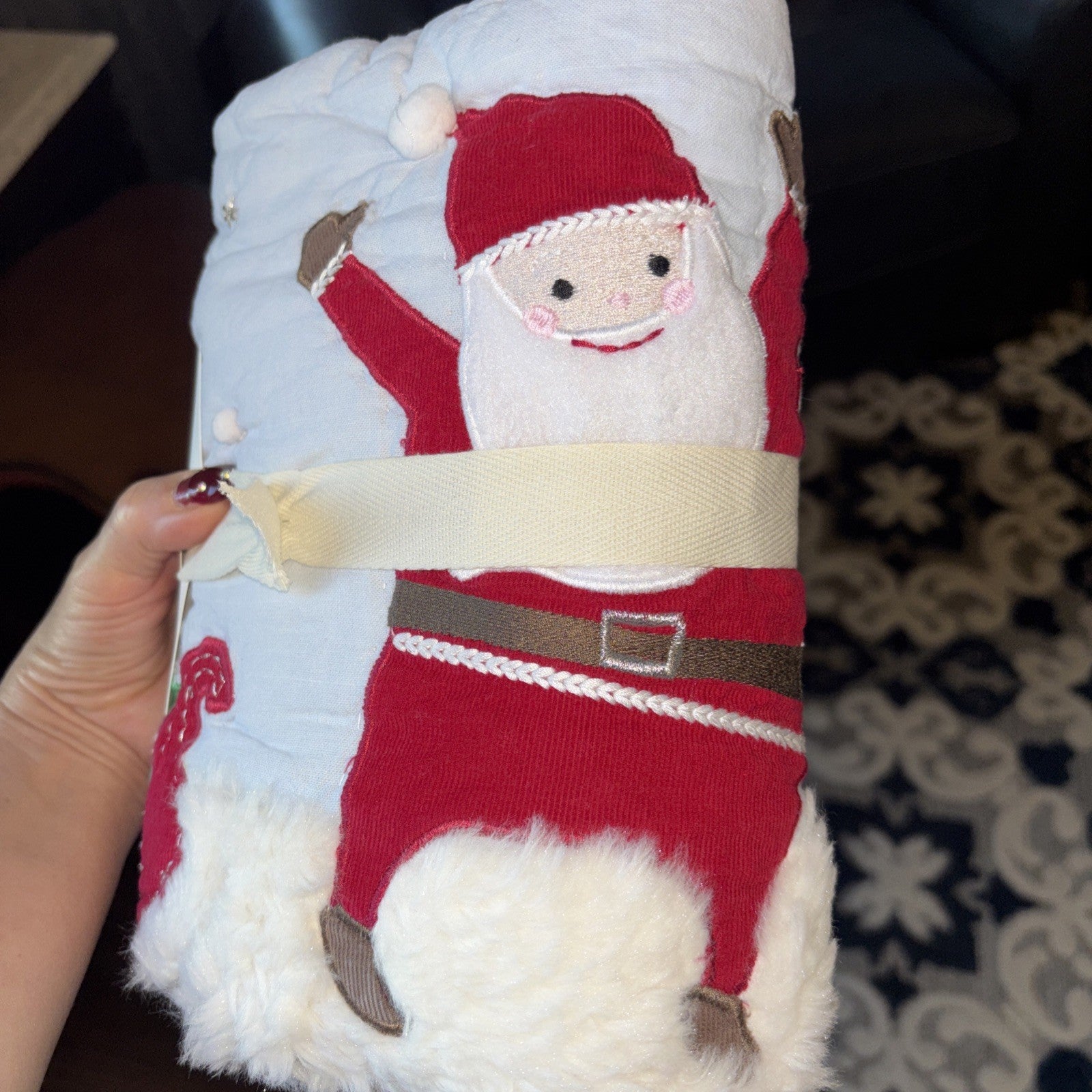 Pottery Barn Christmas Holiday Pillow SHAM Rudolph Jolly Santa fur Party kid `