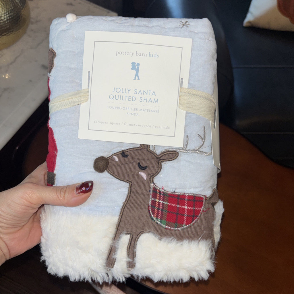 Pottery Barn Christmas Holiday Pillow SHAM Rudolph Jolly Santa fur Party kid `