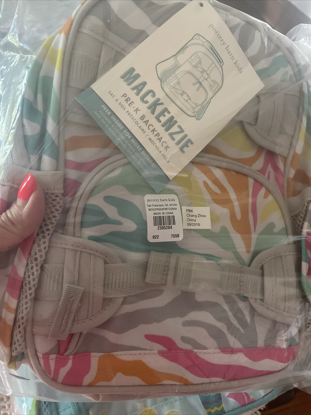 School Pottery barn BACKPACK Pre k RAINBOW ZEBRA Mini bag gift Disney travel .