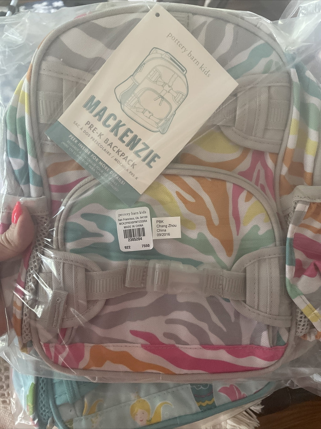 School Pottery barn BACKPACK Pre k RAINBOW ZEBRA Mini bag gift Disney travel .