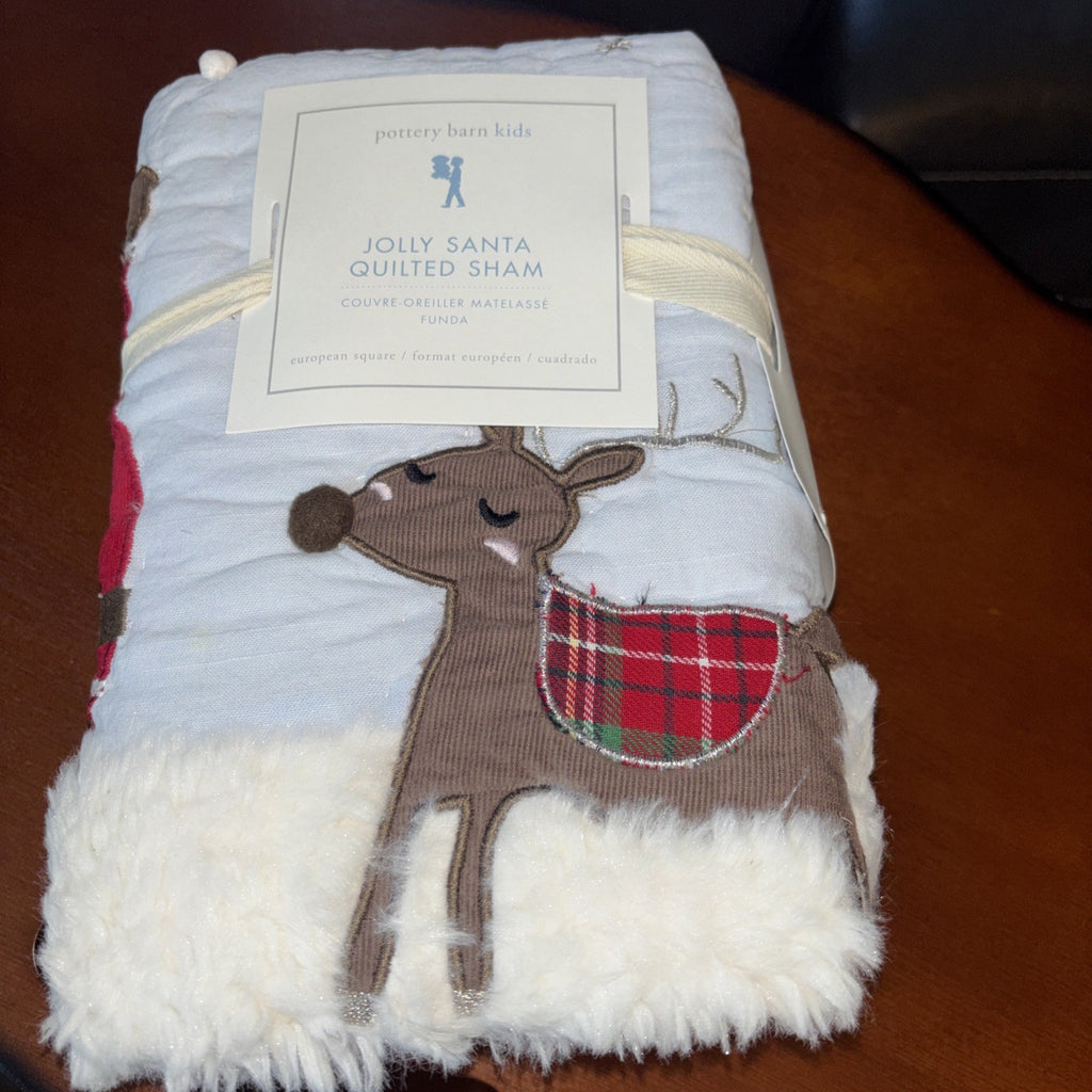 Pottery Barn Christmas Holiday Pillow SHAM Rudolph Jolly Santa fur Party kid `