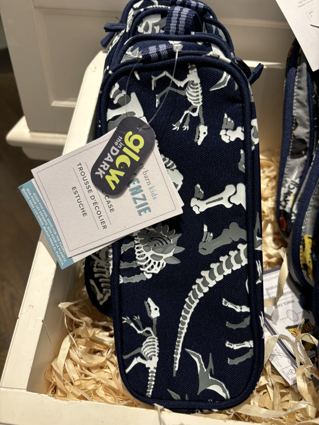 Pottery barn School Bag+ Pencil case boy disney Dinosaur star space boy gift set