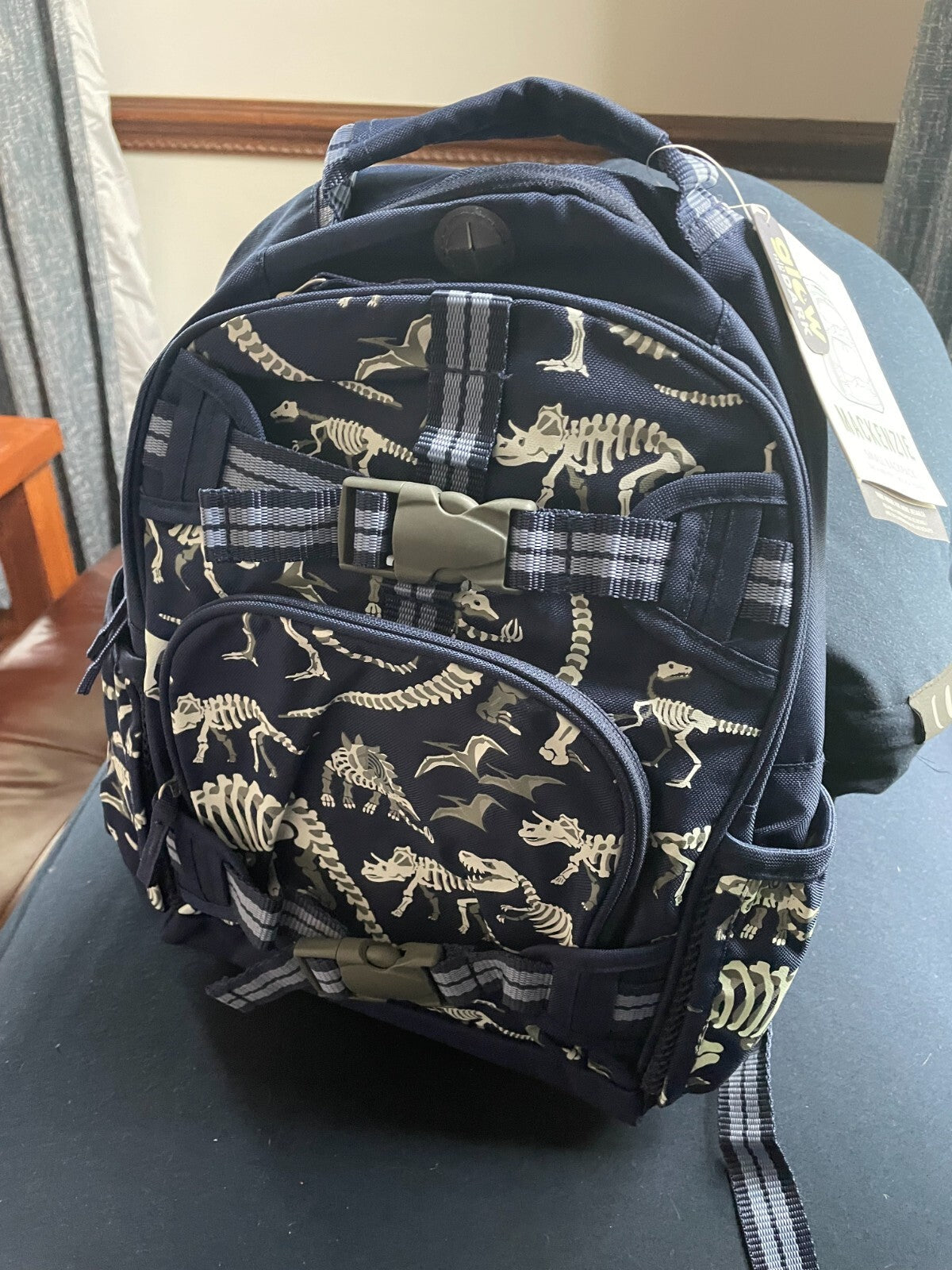 Pottery Barn school Disney Backpack Dinosaur space Jurassic boy travel SET ?? =