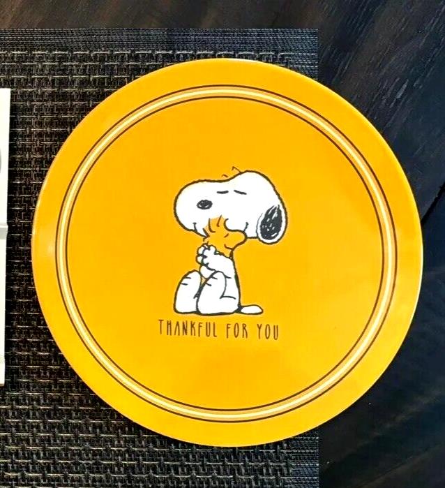 Pottery Barn snoopy Dinner Plate Disney Peanuts School holiday party kid gift